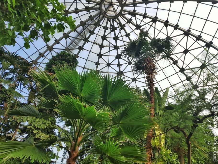 Ботанический сад Донецк