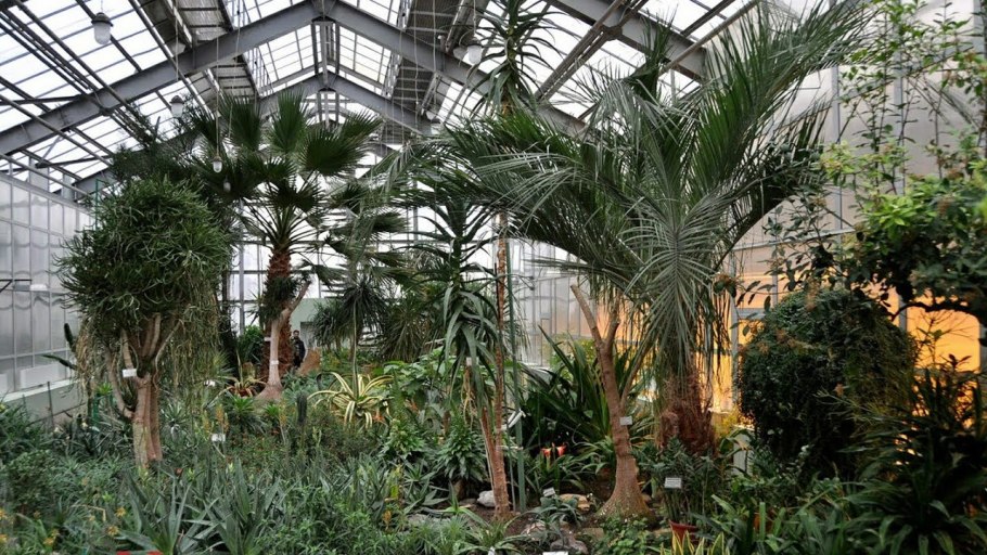 Донецкий Ботанический сад нан Украины