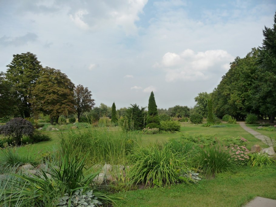 Аллеи донецкого ботанического сада