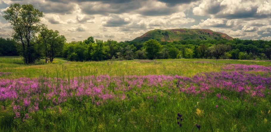 Цветы на улицах Донецка 2021