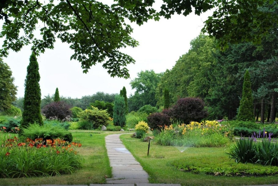 Лекарственные растения Тамбовской области