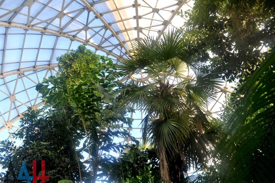 Хомутовская степь Меотида