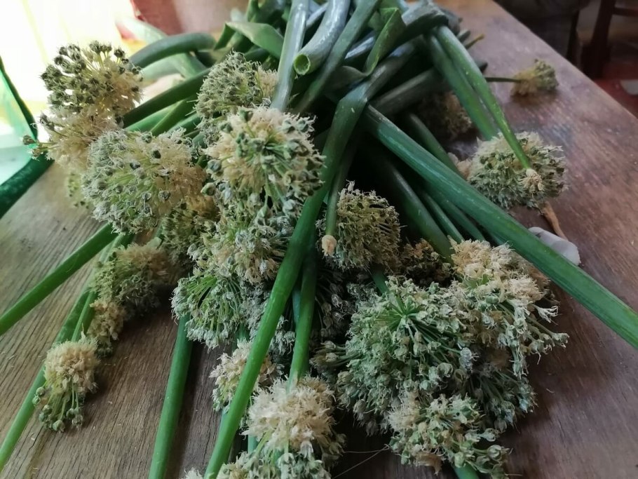 Лук Анзур в тарелке