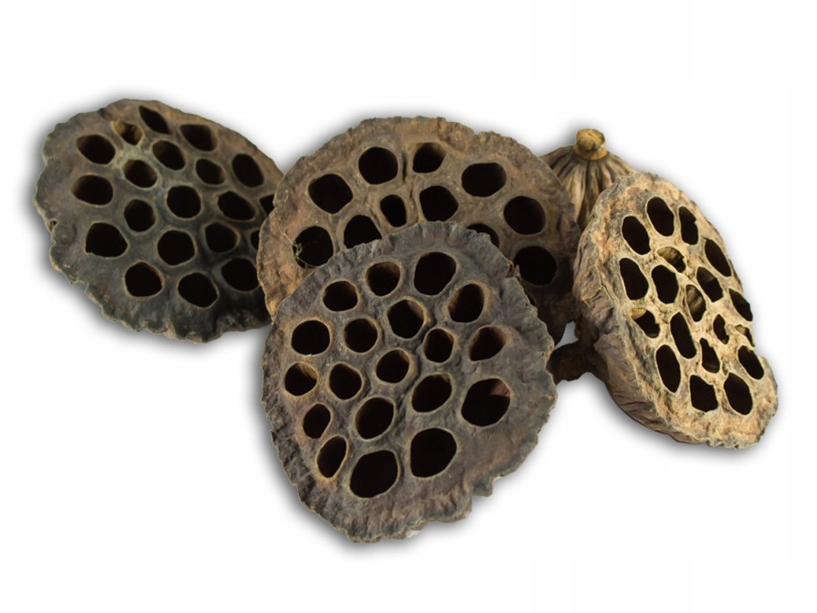 Семена лотоса в сахарном сиропе