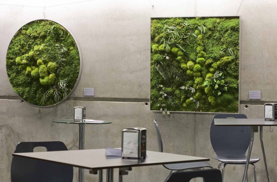 Стабилизированный мох в интерьере офиса