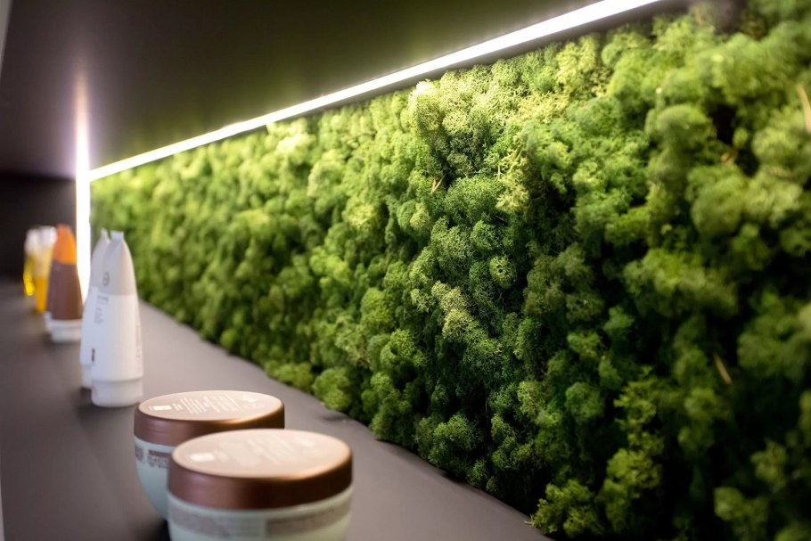 Мох ягель стабилизированный на стене