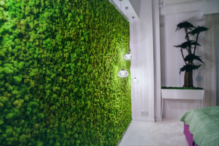 Мох ягель стабилизированный на стене