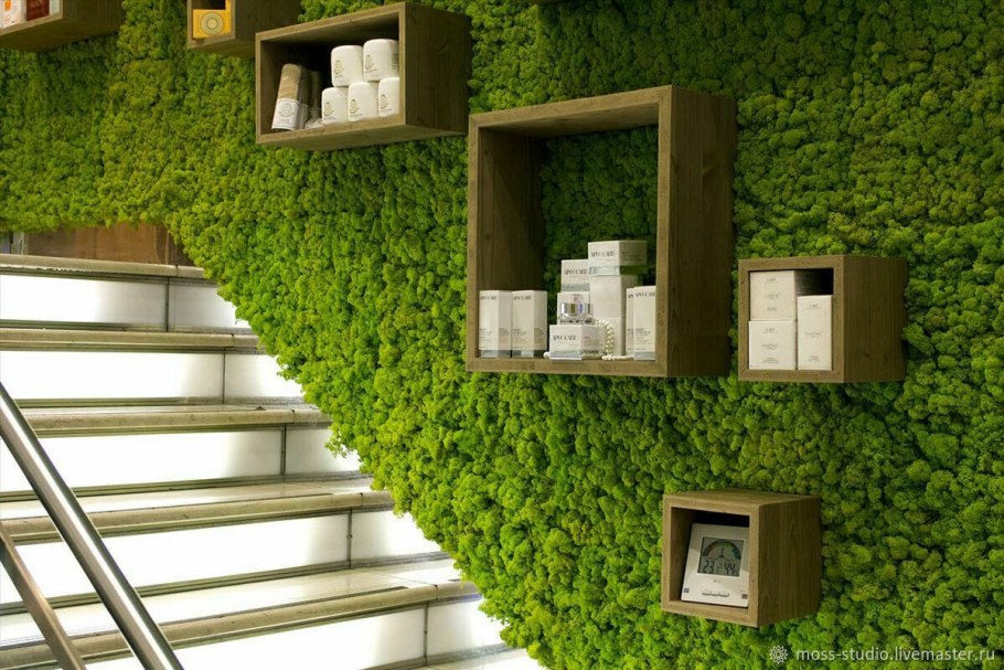 Фитостена мох стабилизированный