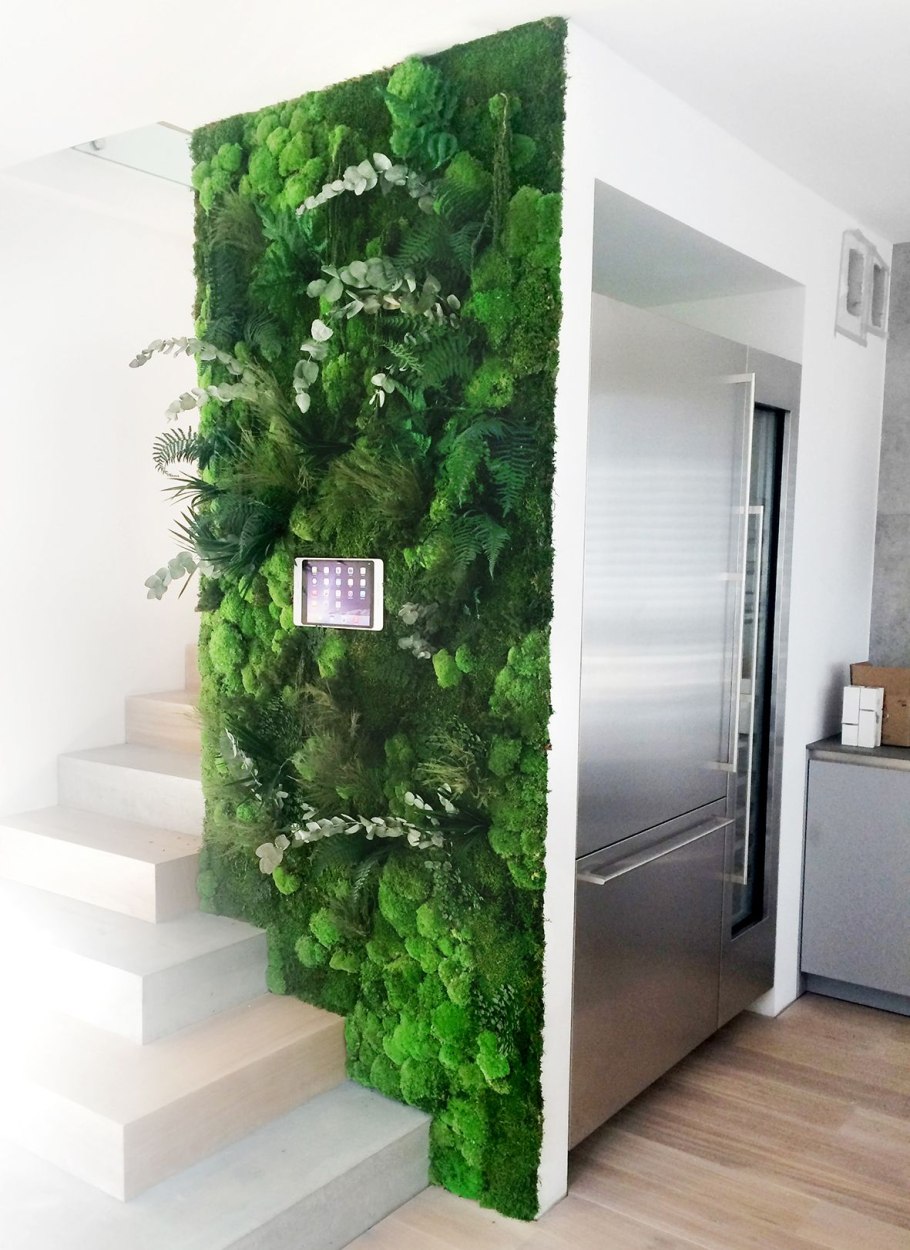 Фитостена из стабилизированного мха