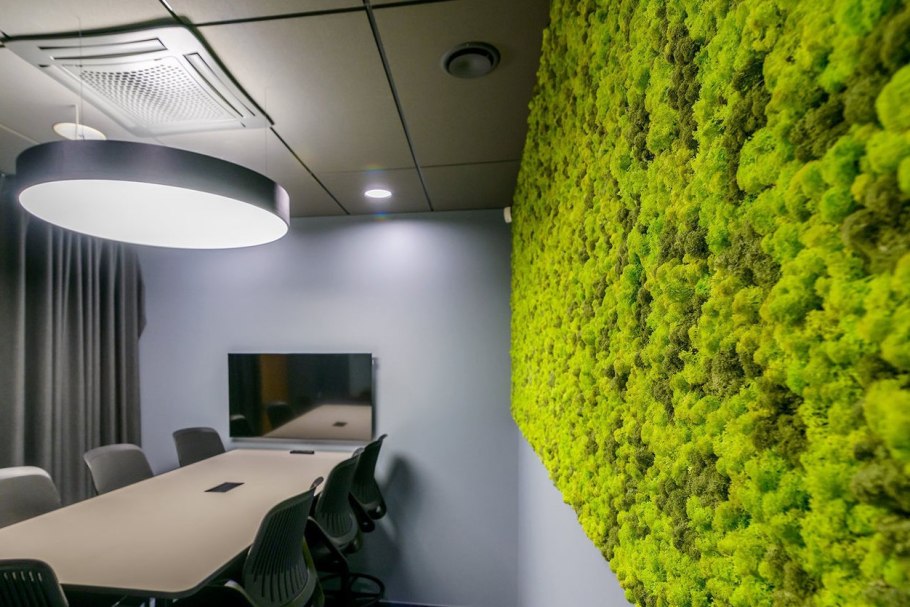 Фитостена мох стабилизированный