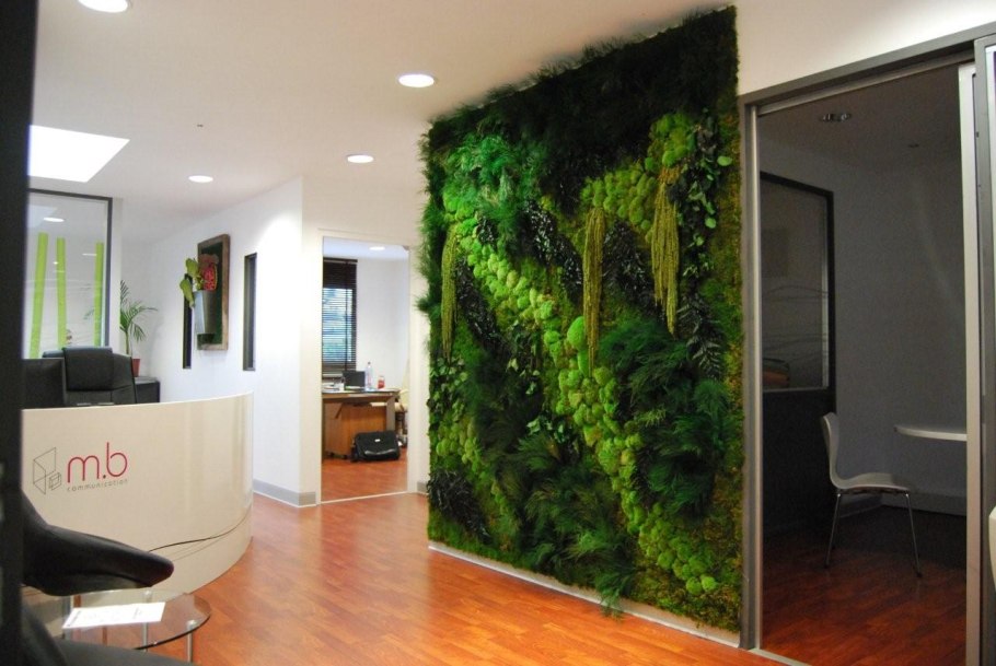 Перегородка из мха