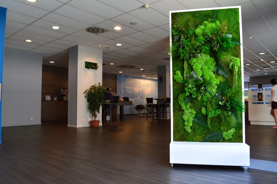 Панно из стабилизированных растений