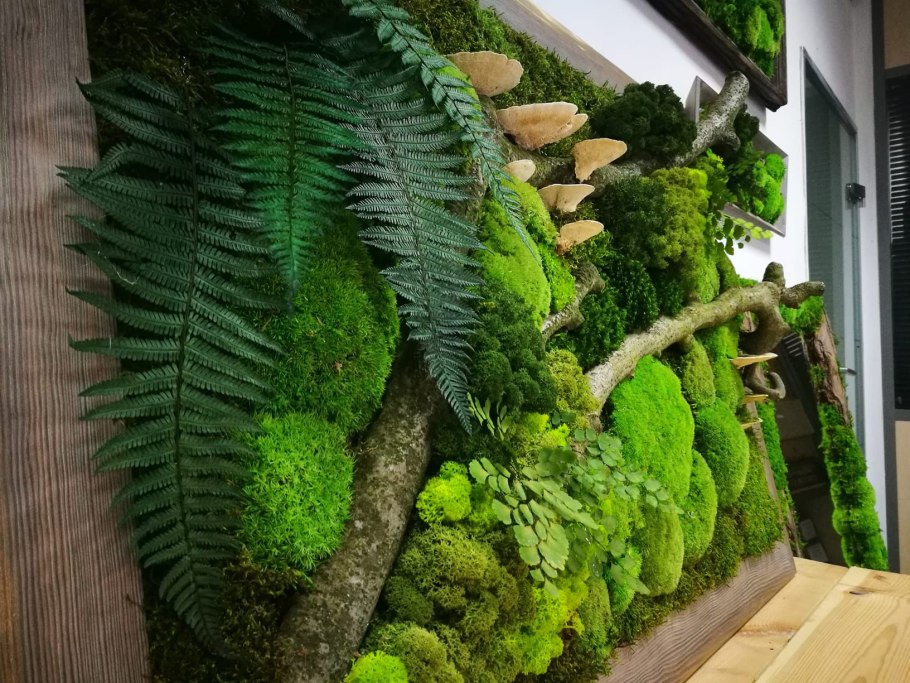 Фитостена мох рейки