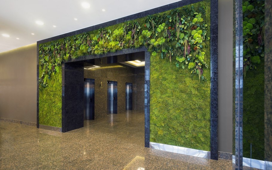 Ягель вертикальное Озеленение