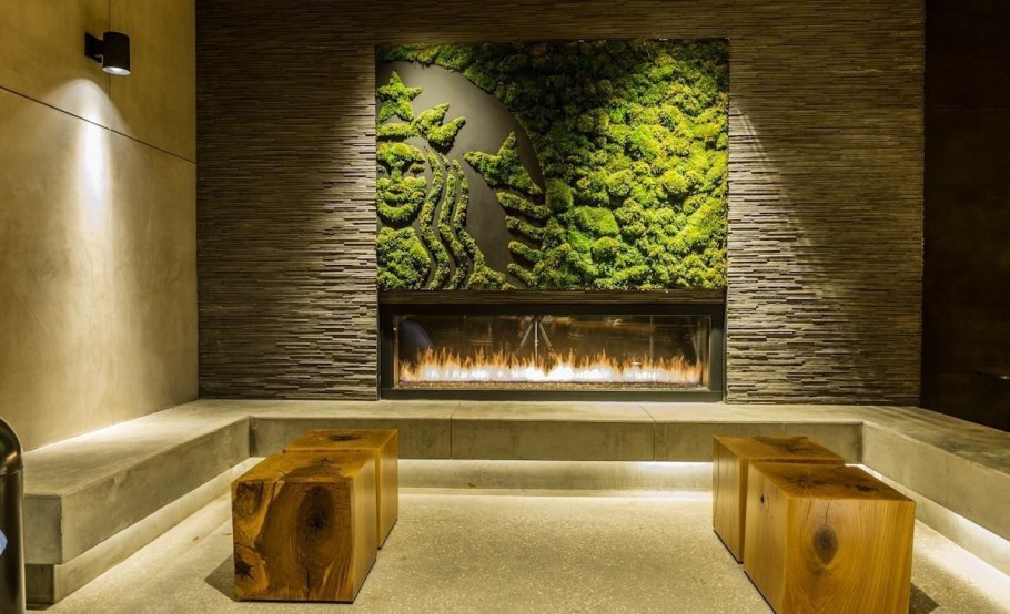 Фитопанели мох