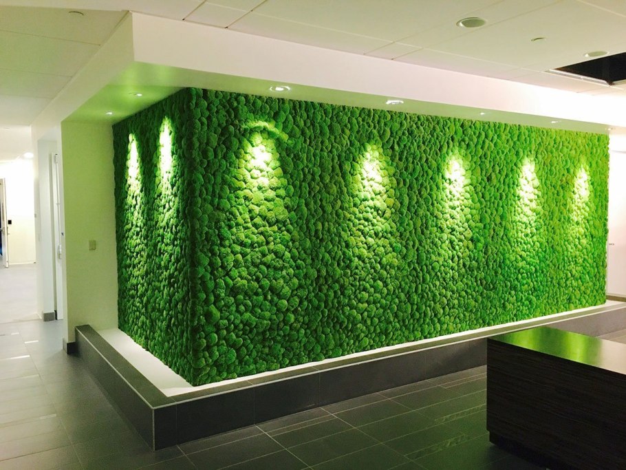 Вертикальное Озеленение из мха