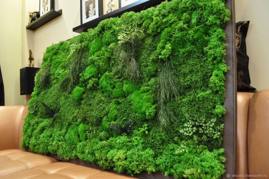 Фитостена из стабилизированного мха и растений