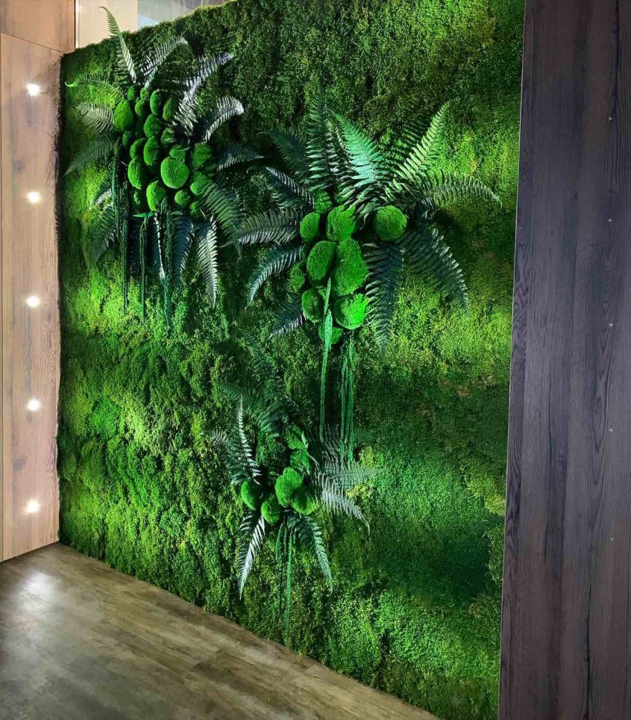 Фитостена из стабилизированного мха и растений