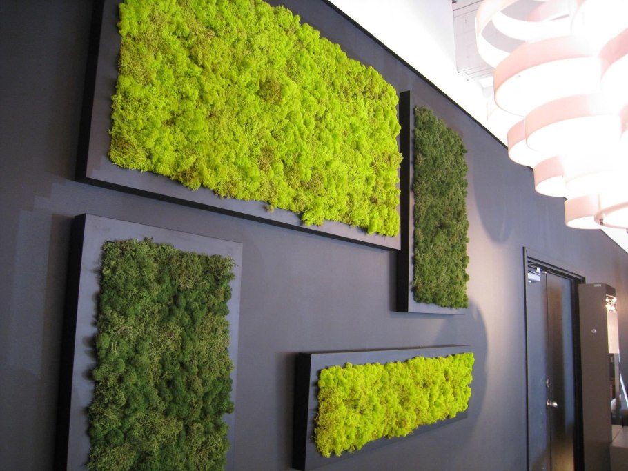 Фитостена из стабилизированного мха