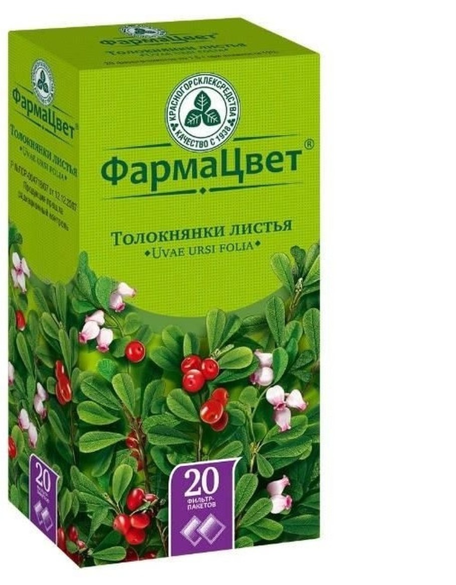 Толокнянка применение