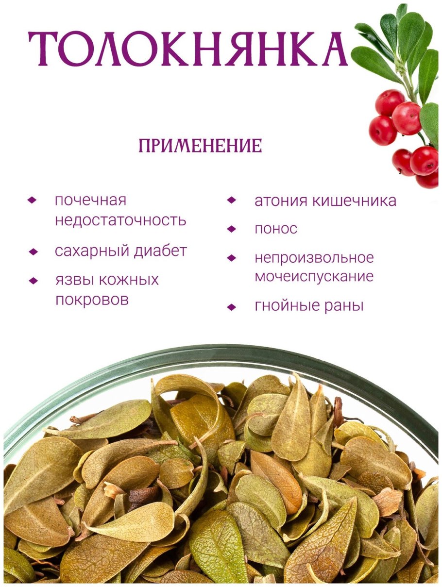 Клюква брусника толокнянка