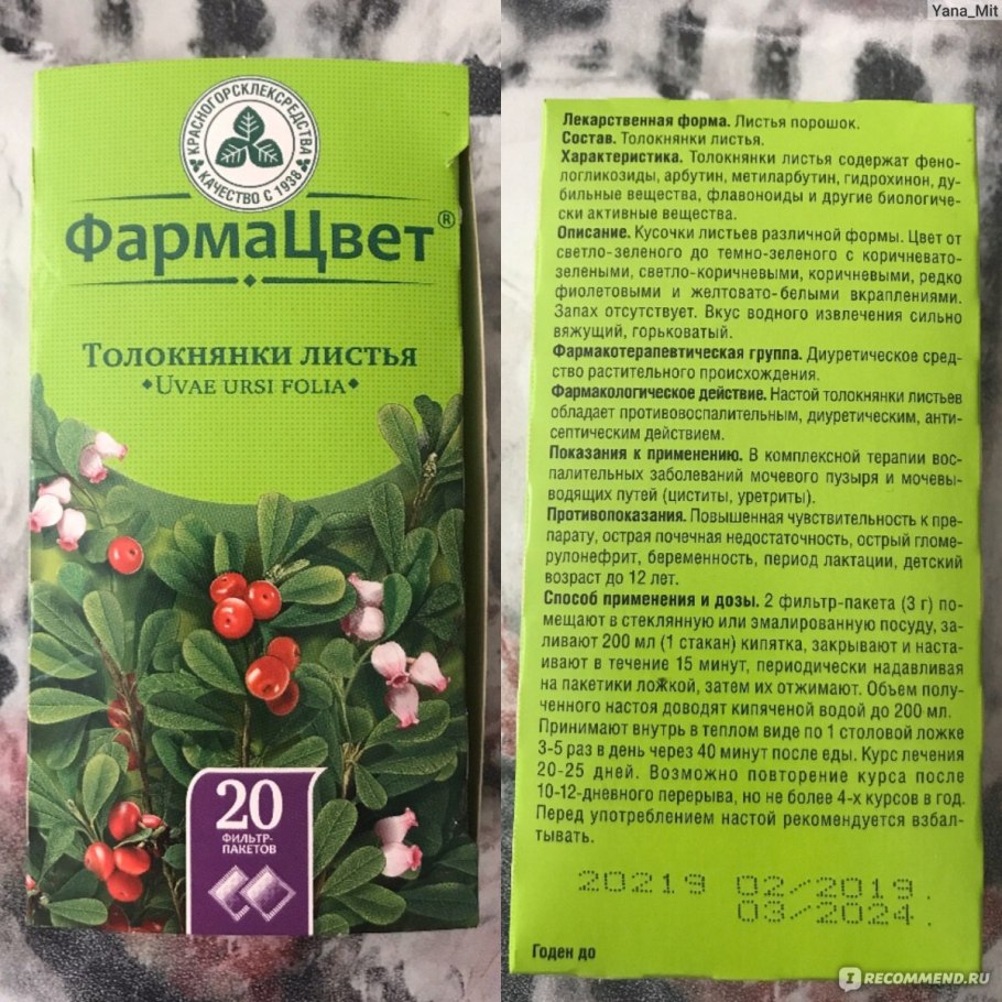 Толокнянка обыкновенная