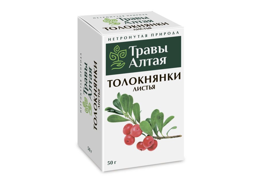 Альпийская толокнянка Арктоус Альпийский