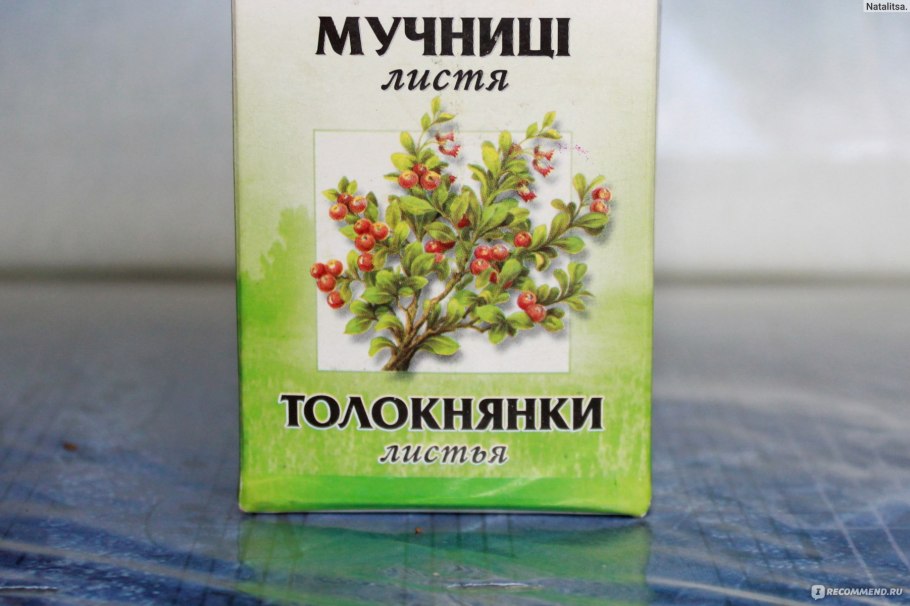 Толокнянка травы аптечные