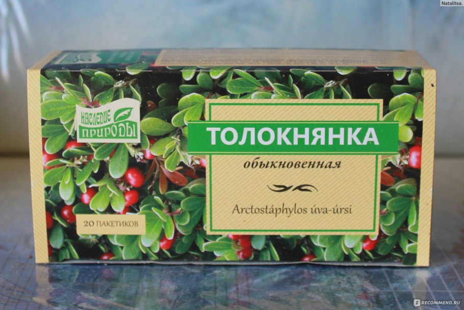 Толокнянка Медвежьи ушки