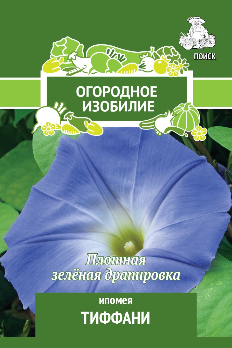 Цветы ипомея Тиффани