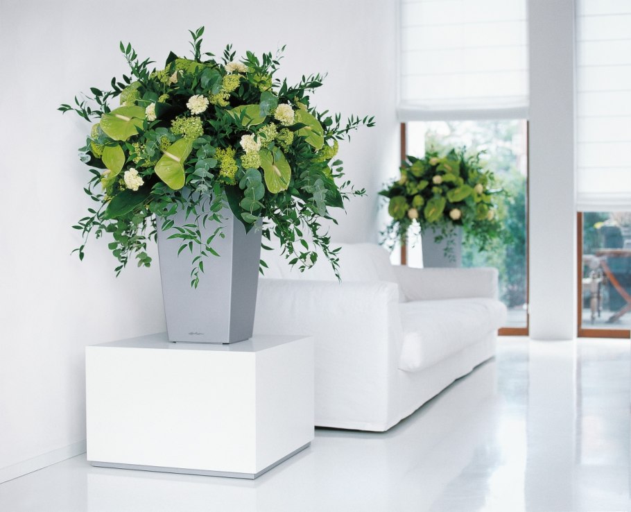 Лечуза Кубико серебро