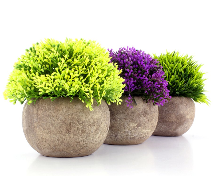 Декоративные цветы в горшках