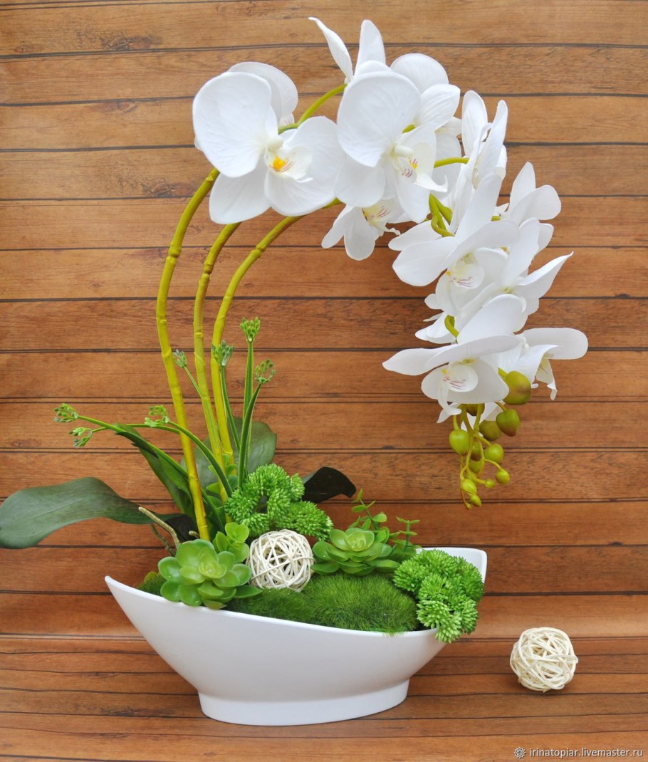Фаленопсис во флористике