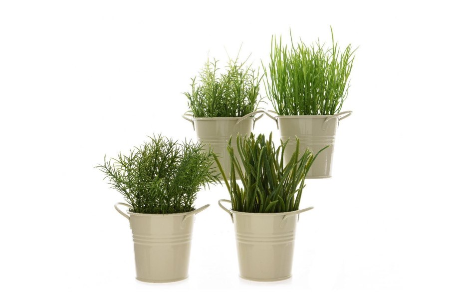 Декоративные цветы в горшках