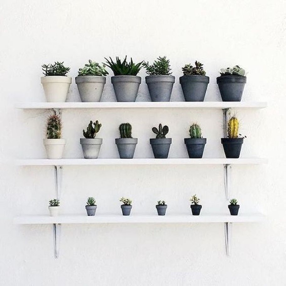 Стеллаж для цветов