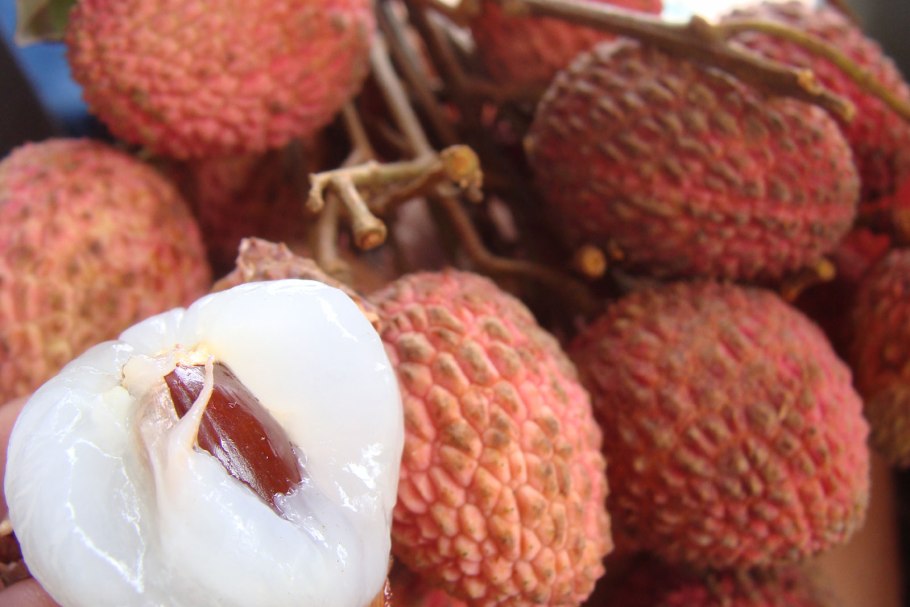 Рамбутан дерево