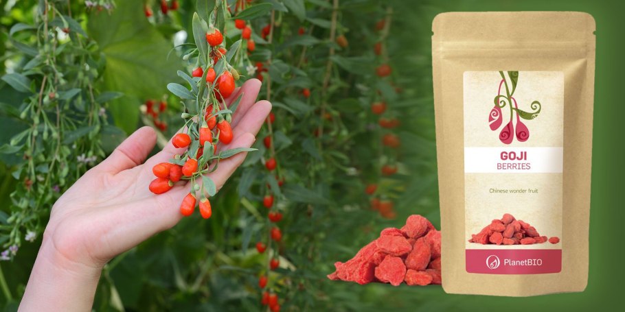 Ягоды годжи "Sogdiana", 100г.