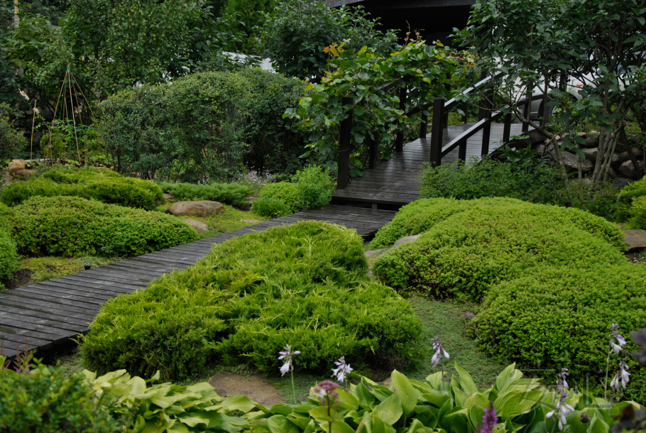 Ботанический сад Иркутск хвойники