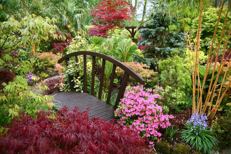 Сад хиранива в Японии