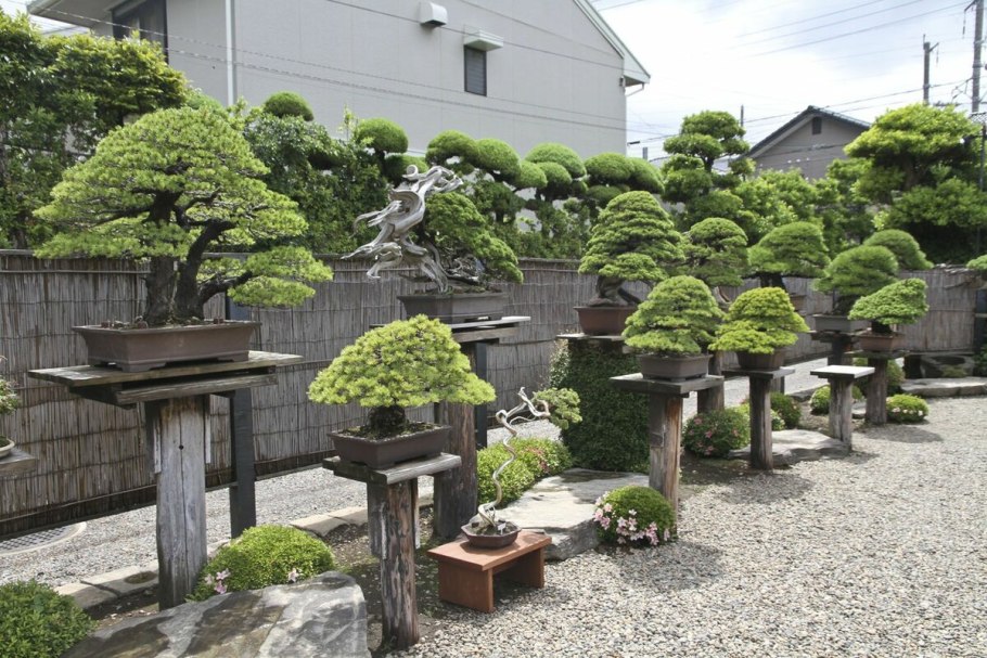 Водоем в природном стиле