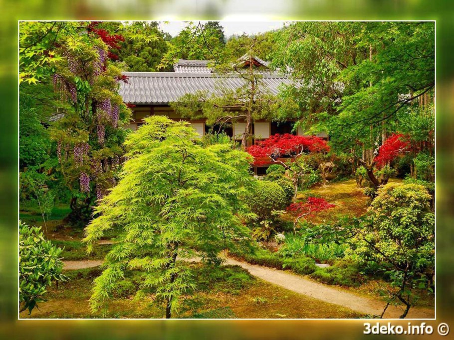 Сад пионов Япония Киото