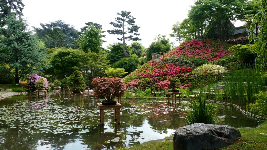 Сад в японском стиле