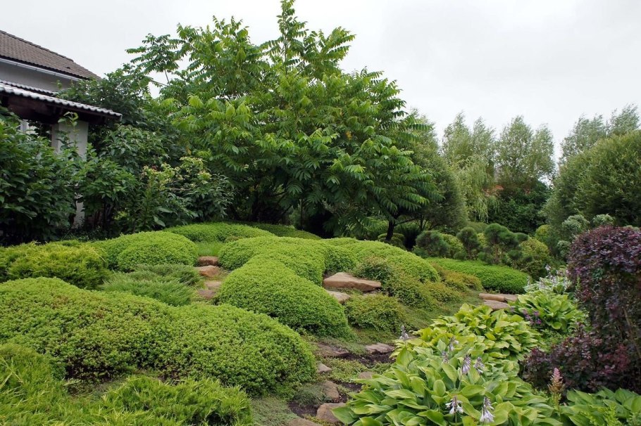 Рокарий сад бонсай Южная Корея