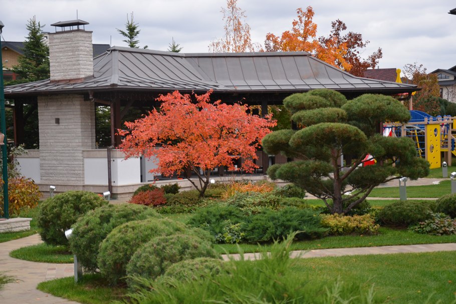 Сады ниваки Япония