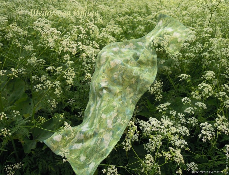 Сныть круглая