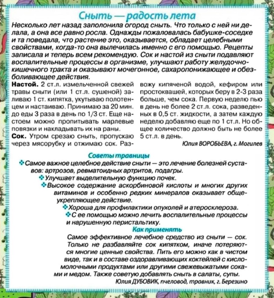 Трава сныть обыкновенная