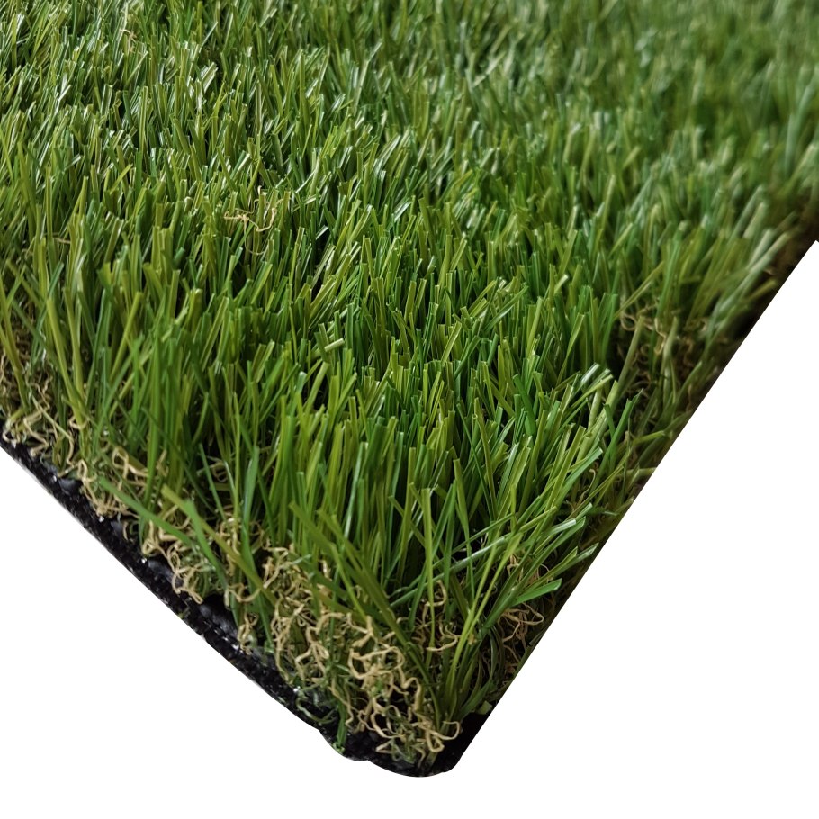 Райграс пастбищный