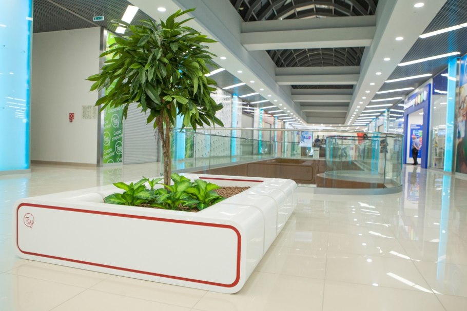 Антуриум в саду