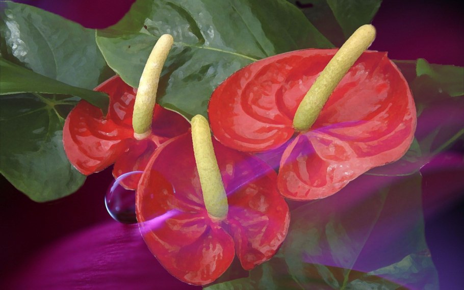 Торговый центр «Эмпория» в Мальме