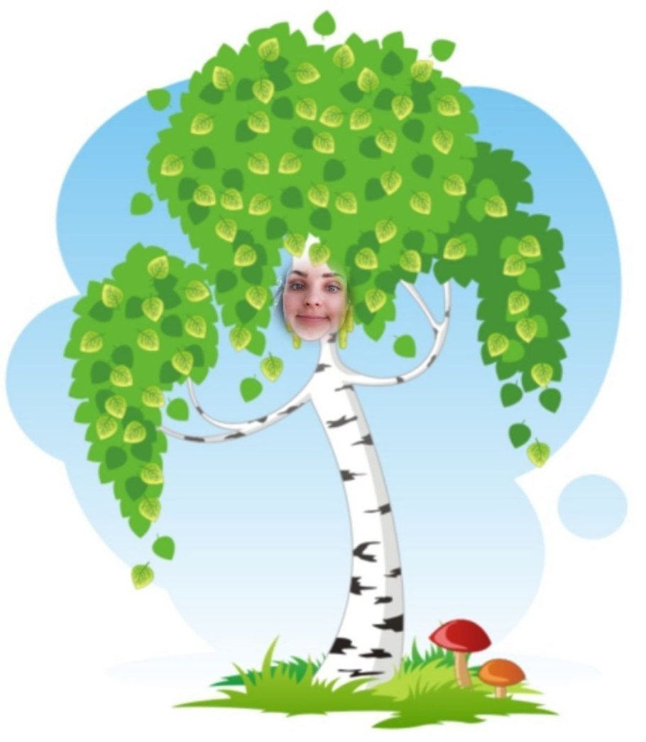 Береза карликовая Betula Nana